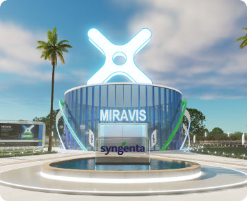 Slide Miravis